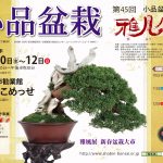 小品盆栽『第45回 雅風展』 – 現代盆栽 Gendaibonsai