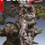 盆栽の研究(小林憲雄) / 古本、中古本、古書籍の通販は「日本の
